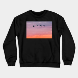 Sandhill cranes at sunset Crewneck Sweatshirt